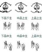 阿弥陀佛心咒手印图-阿弥陀佛心咒手印的分类有几种？